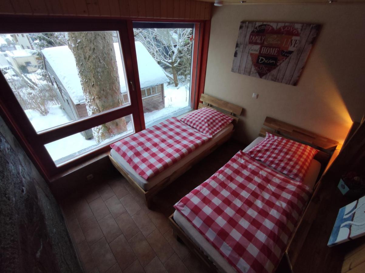 Waldluftin Apartment Lauscha Екстериор снимка